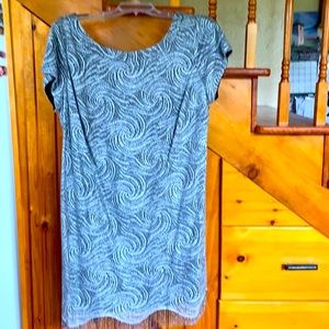 Sliver with black lining & fringe dress